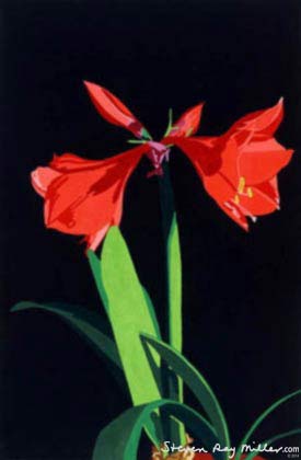 Amaryllis limited edition lithograph by Steven Ray Miller Durham NC artist