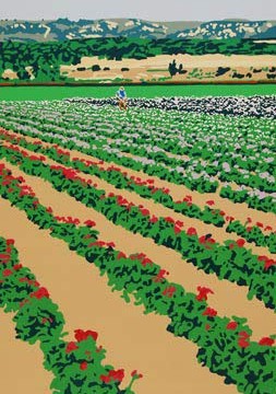 California Flower Fields limited edition serigraph silkscreen by Steven Ray Miller Durham NC artist