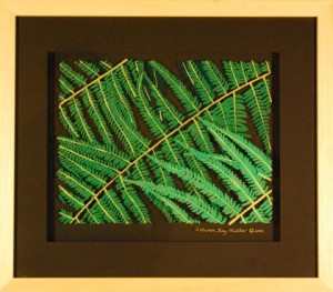 Ferns original 3-D acrylic painting on glass by Steven Ray Miller Durham NC artist