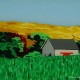 Middle Road Chilmark Marthas Vineyard original 3-D acrylic painting on glass by Steven Ray Miller Durham NC artist